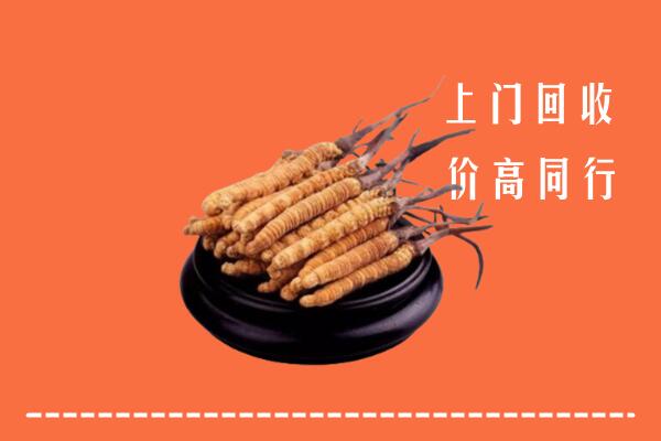 高价求购：泸州回收散虫草